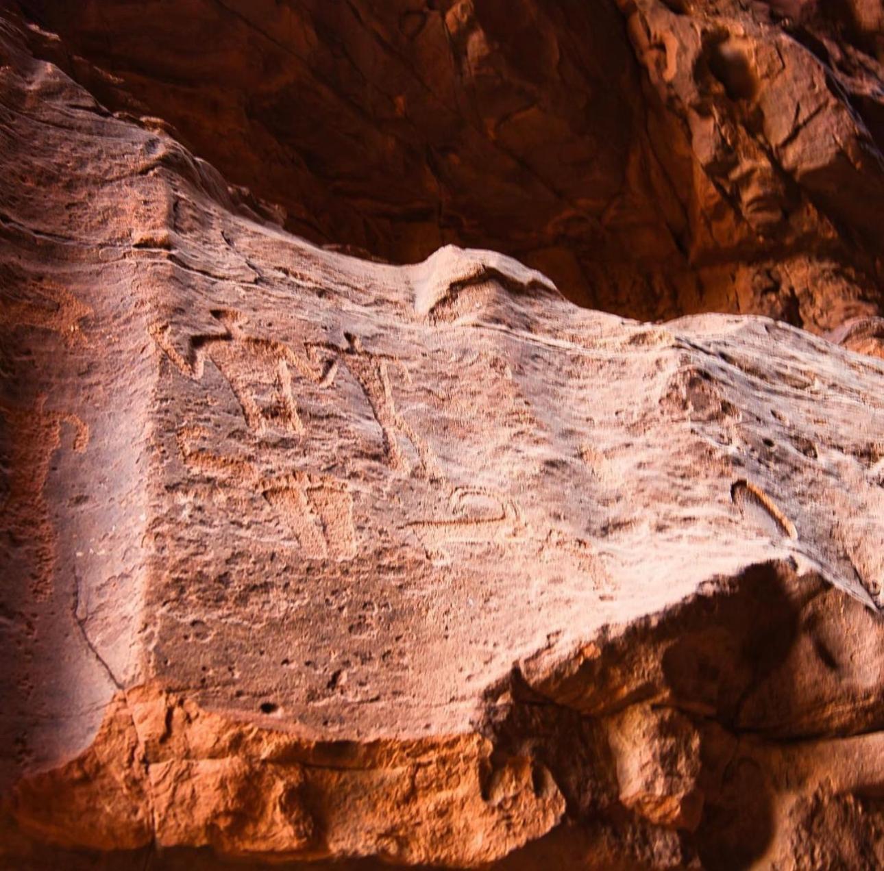 ホテル Wadirum Sunset Camp ワディ ・ラム エクステリア 写真
